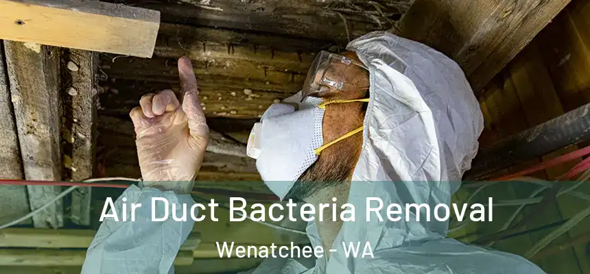  Air Duct Bacteria Removal Wenatchee - WA