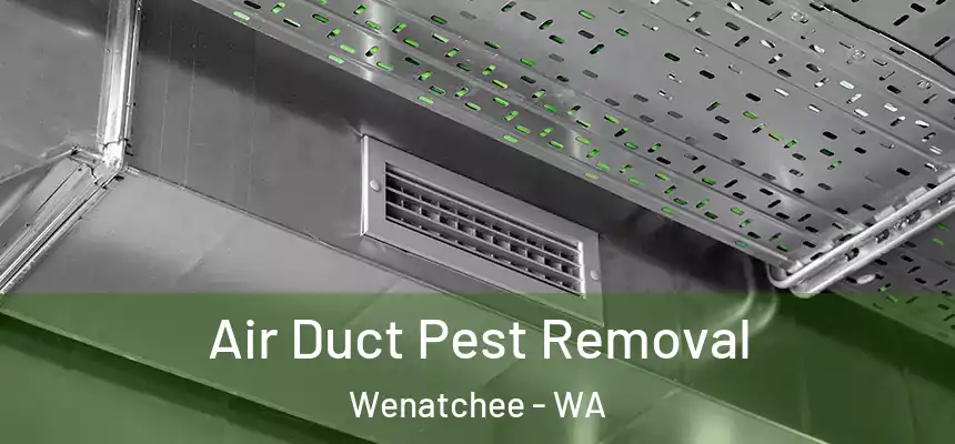  Air Duct Pest Removal Wenatchee - WA