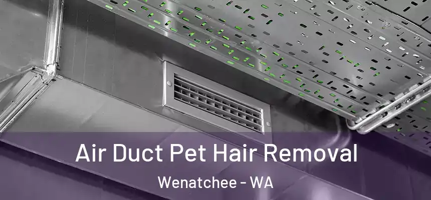  Air Duct Pet Hair Removal Wenatchee - WA