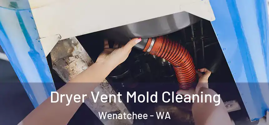  Dryer Vent Mold Cleaning Wenatchee - WA