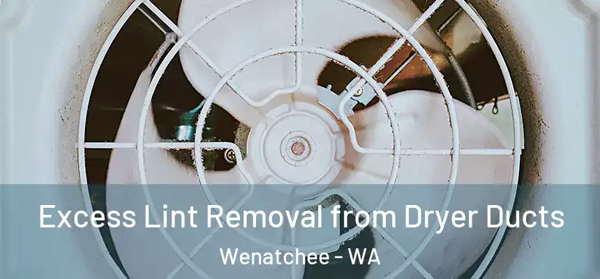 Excess Lint Removal from Dryer Ducts Wenatchee - WA