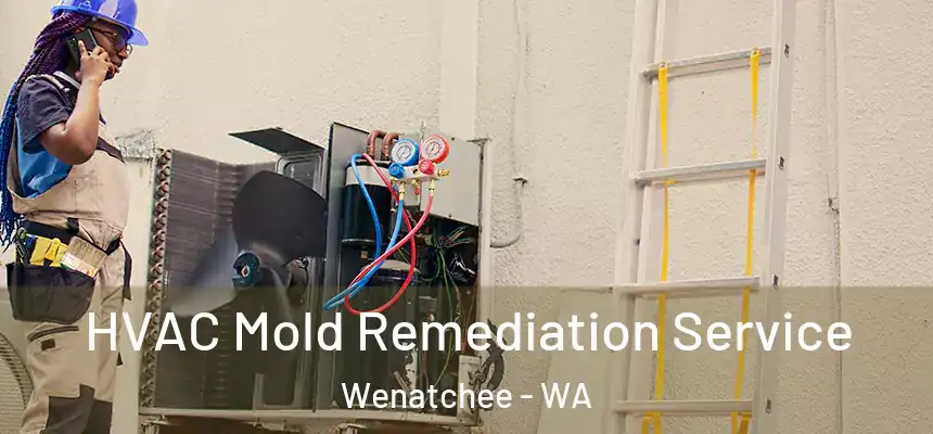  HVAC Mold Remediation Service Wenatchee - WA