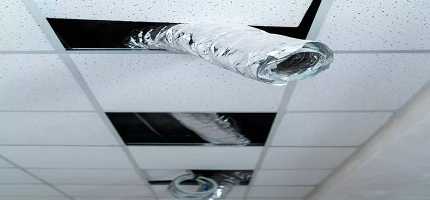 Affordable HVAC Sanitizing After Pest Removal in Wenatchee