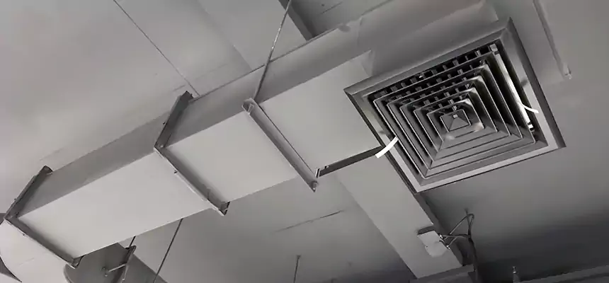 Restorative Allergy Relief Vent Cleaning – Coil, Blower & Housing Detail in Wenatchee