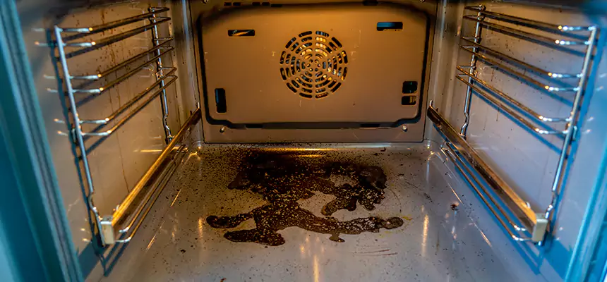 Our Dryer Vent Mold Cleaning Services in Wenatchee, WA