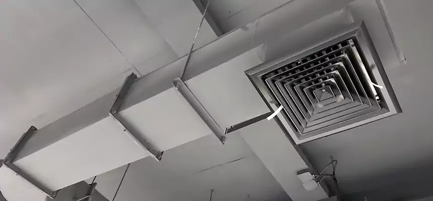 Our Pest Removal From Ducts Services in Wenatchee, WA