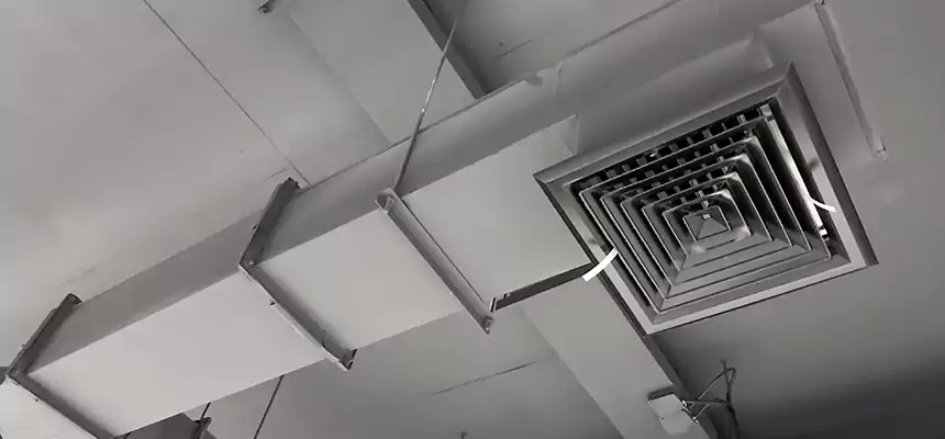 Our Rodent Droppings In Vents Services in Wenatchee, WA