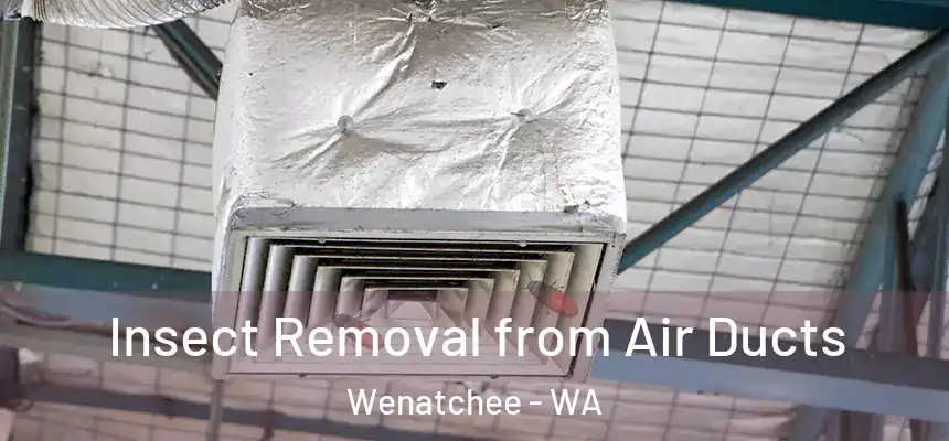  Insect Removal from Air Ducts Wenatchee - WA
