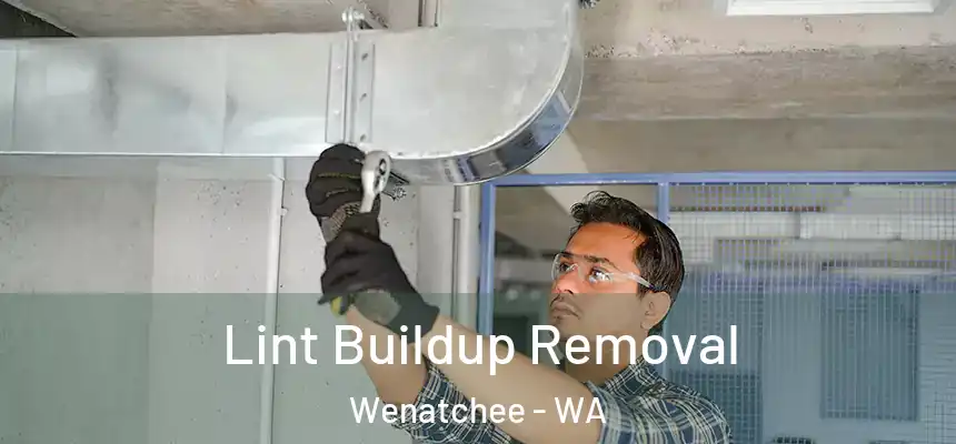  Lint Buildup Removal Wenatchee - WA