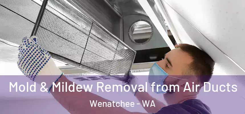  Mold & Mildew Removal from Air Ducts Wenatchee - WA