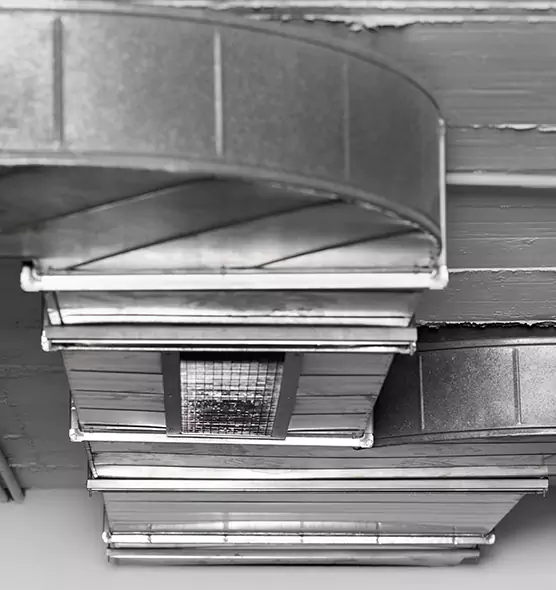 Professional Air Duct Pest Removal in Wenatchee, WA