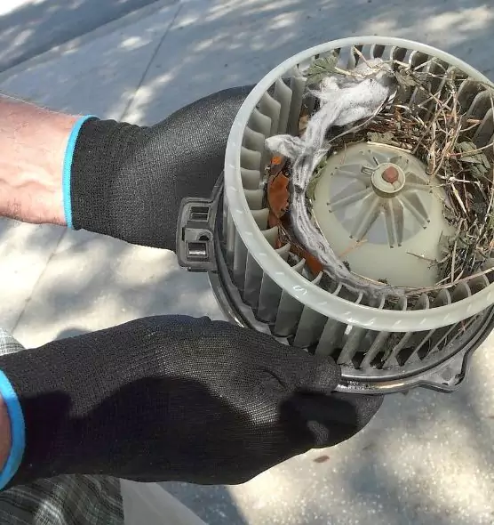 About Air Duct Rat Removal in Wenatchee, WA