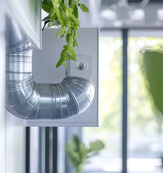 Professional Eco-Friendly Duct Cleaning Services in Wenatchee, WA