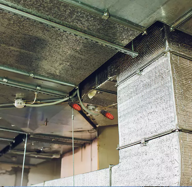 Why Homeowners & Businesses Trust Us in Wenatchee, WA?