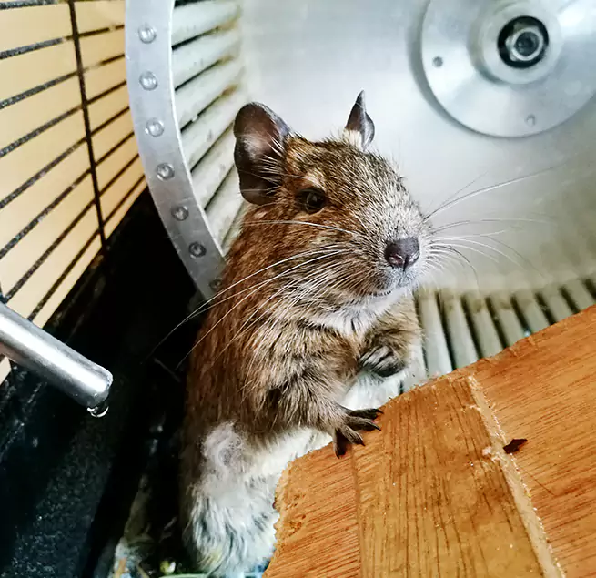 Why Homeowners & Businesses Trust Us Wenatchee, WA?